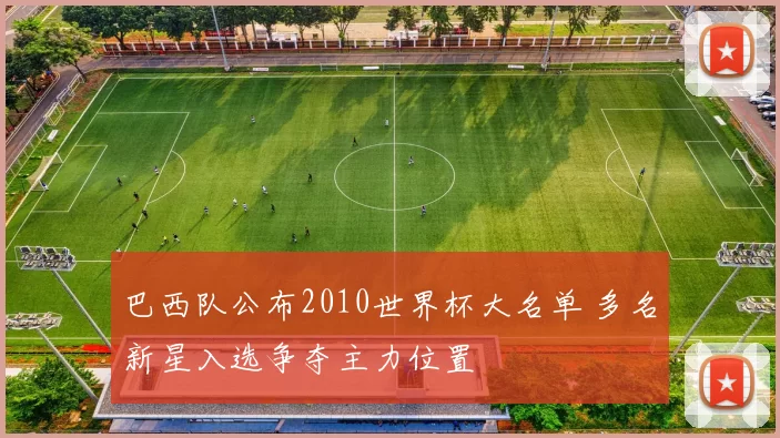 巴西队公布2010世界杯大名单 多名新星入选争夺主力位置